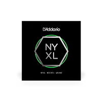 D`ADDARIO NYNW017