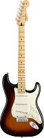 FENDER PLAYER Stratocaster MN 3-Tone Sunburst