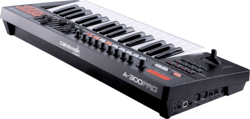 ROLAND A-300PRO фото 3